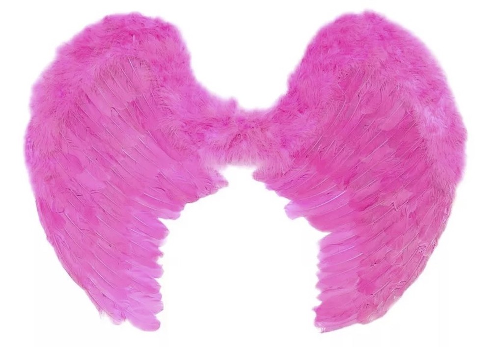Engelsflügel pink  80 x 60 cm