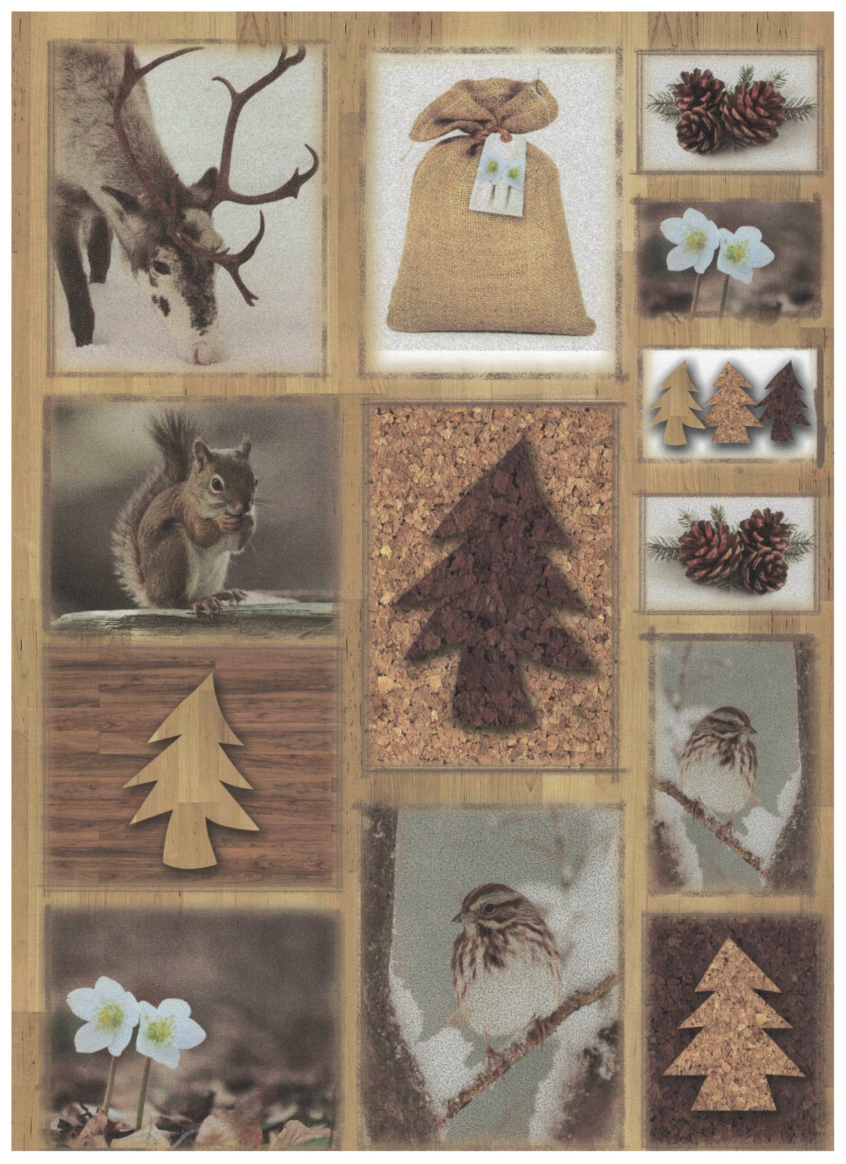 Scrapbook-Papier Design-Papier, 30,5x30,5 cm, 120 g, 1 Bogen  Winter Holz Kork Quadrate