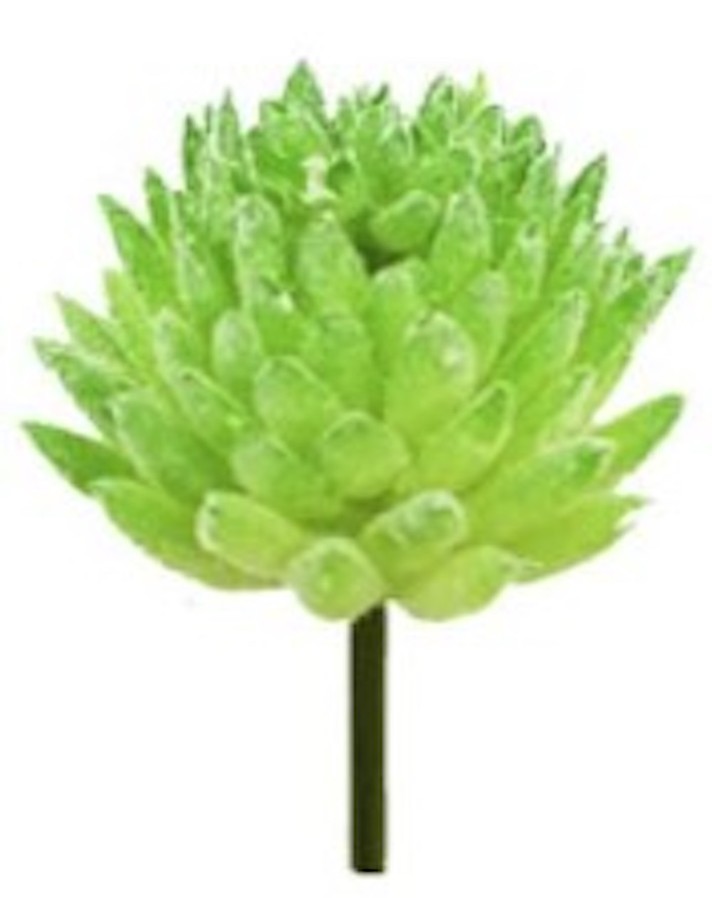 Kunstblume - Sukkulenten  5 cm