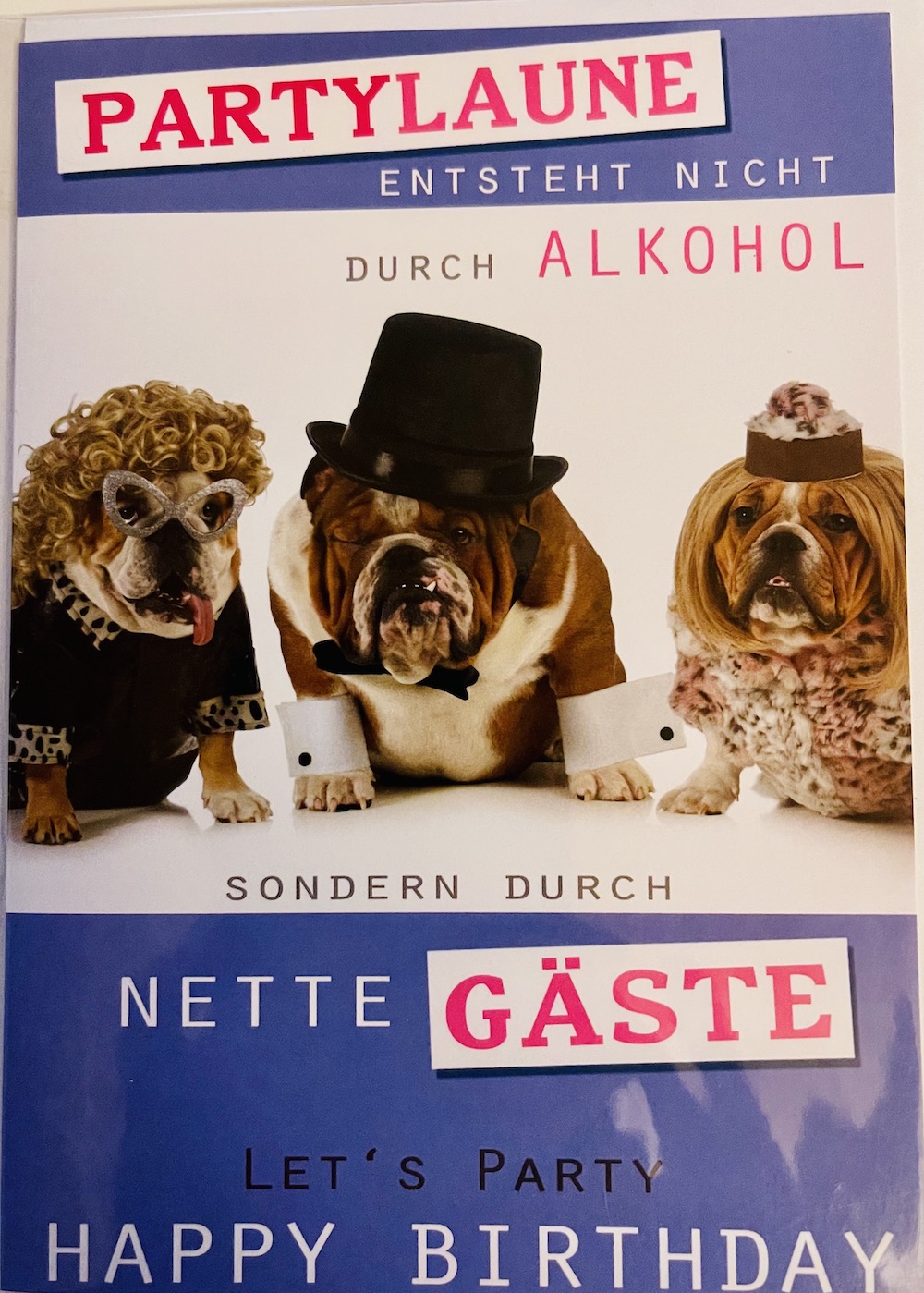 Geburtstagskarte mit Umschlag  Partylaune Hunde