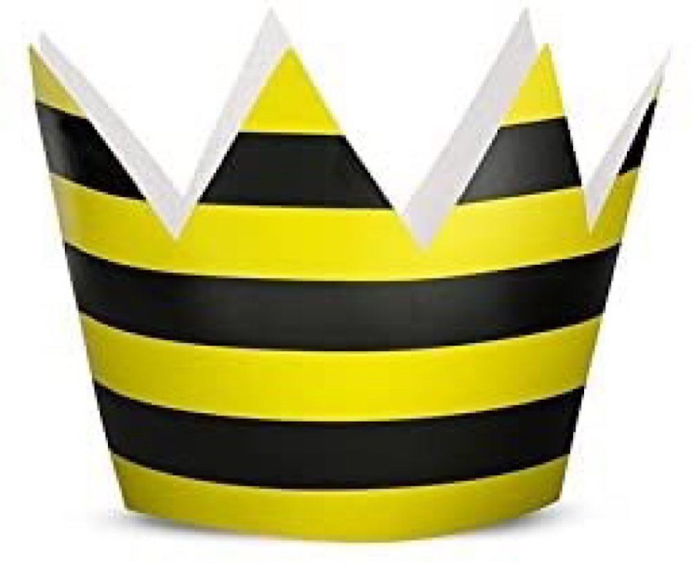 6 Partykronen - Biene , schwarz/gelb