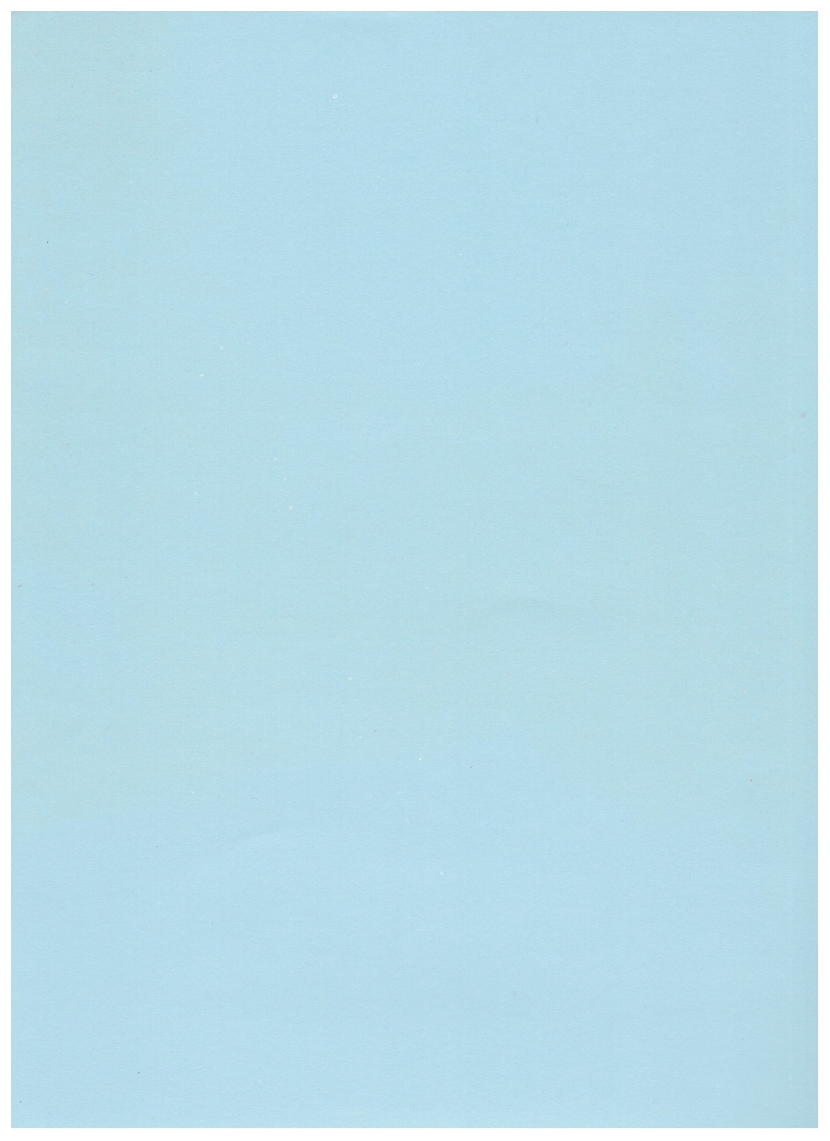 Scrapbook-Papier Doppelseitiges Papier, 30,5 x 30,5 cm, Winterwald
