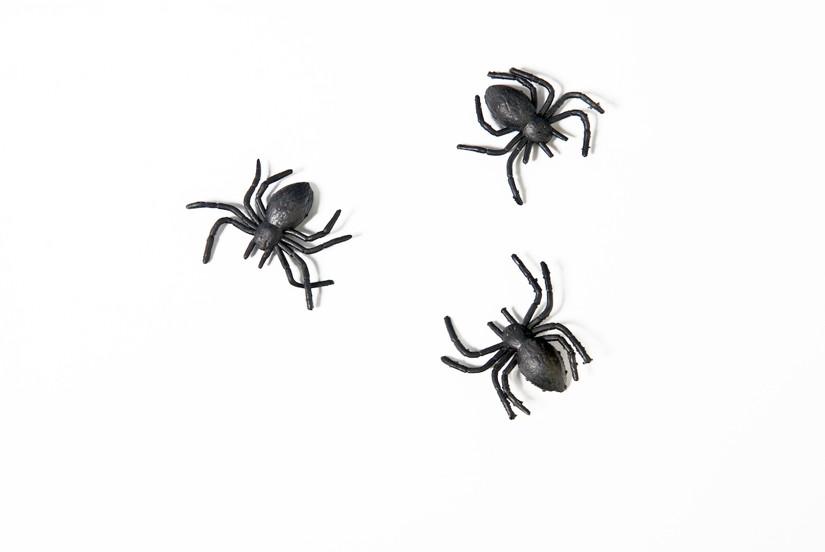 Plastikspinnen schwarz 3cm 10 Stück