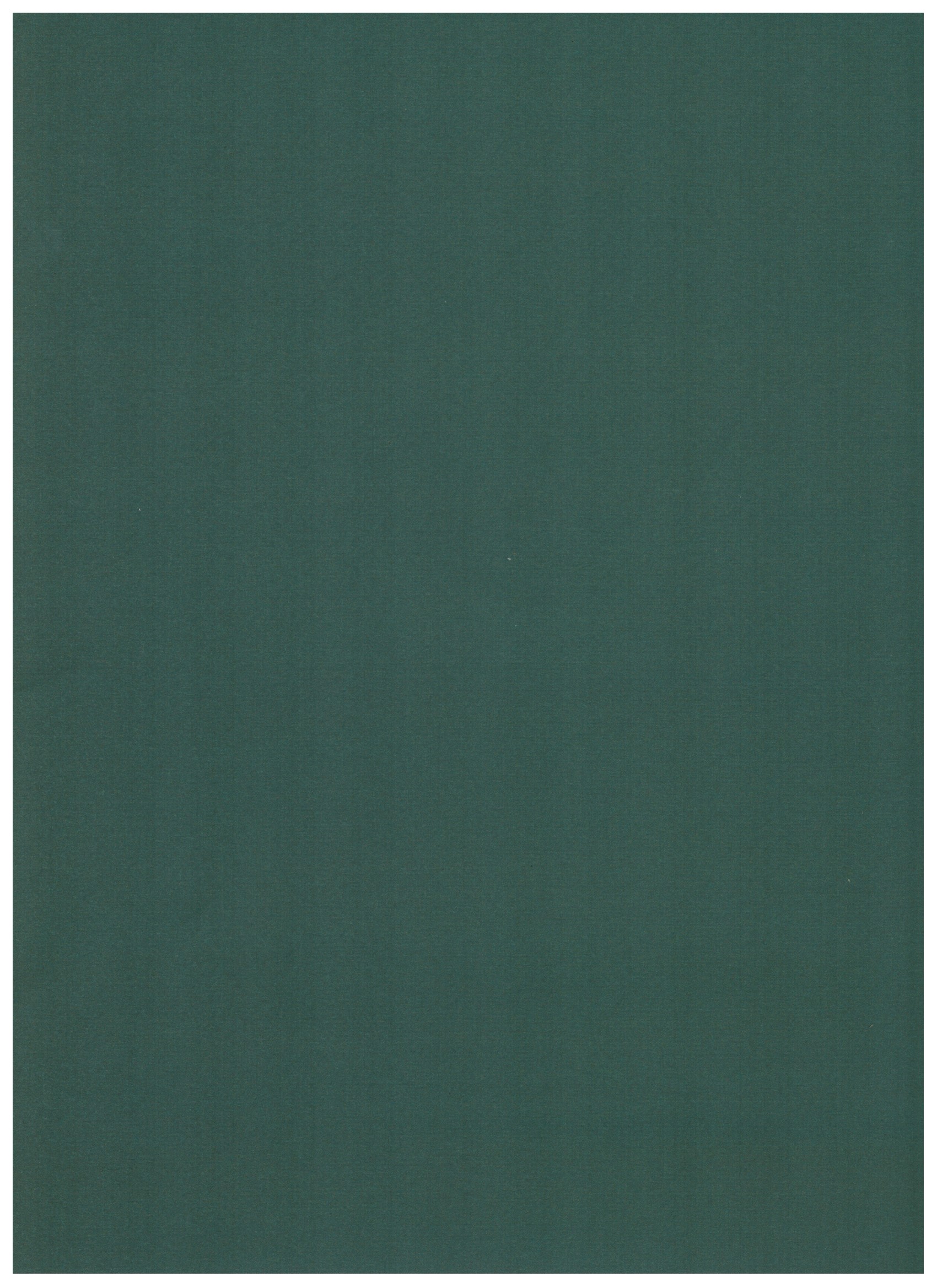 Scrapbook-Papier Doppelseitiges Papier, 30,5 x 30,5 cm, Tannenzweige