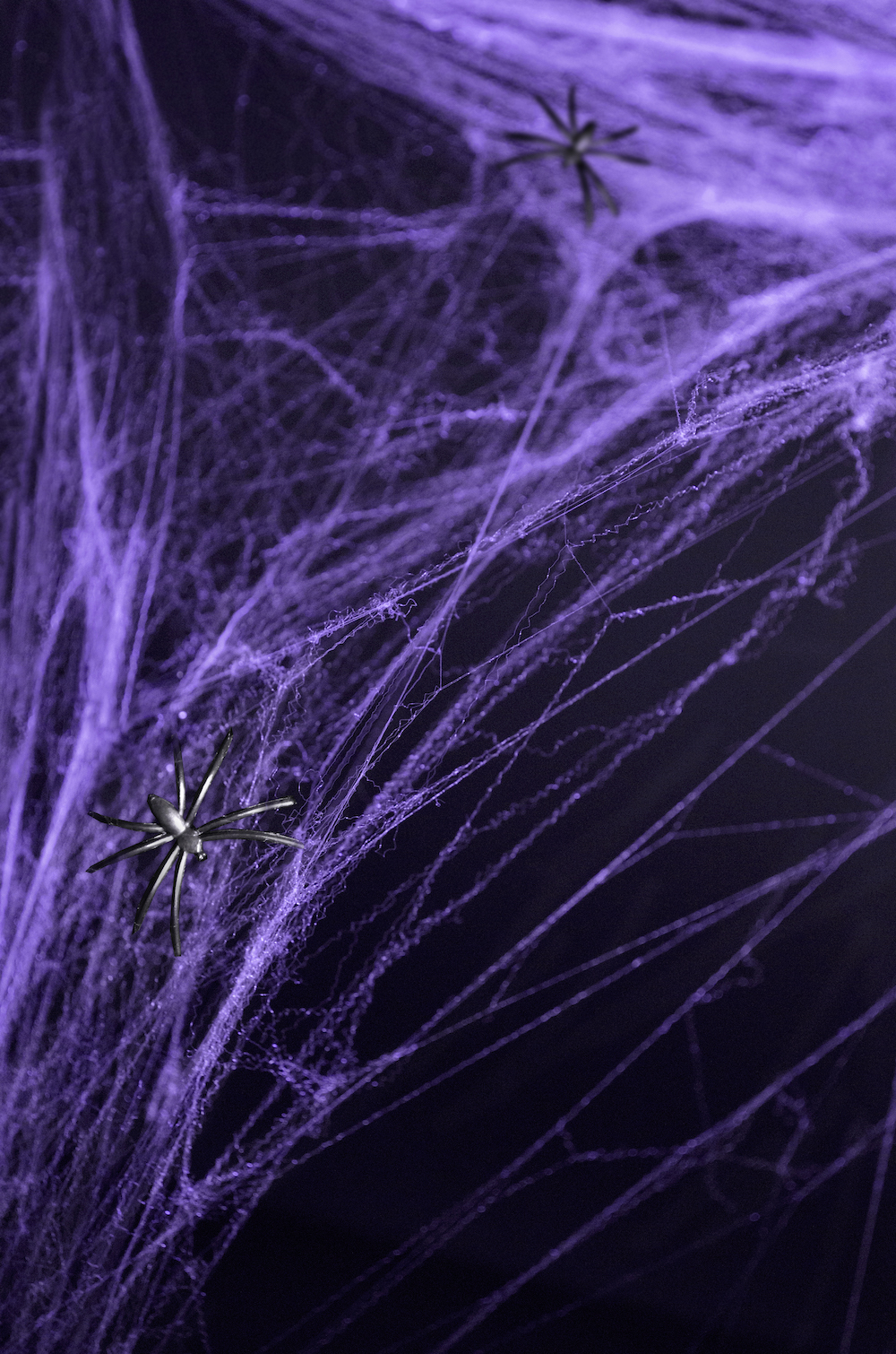 Halloween Spinnennetz mit 2 Spinnen, 60g