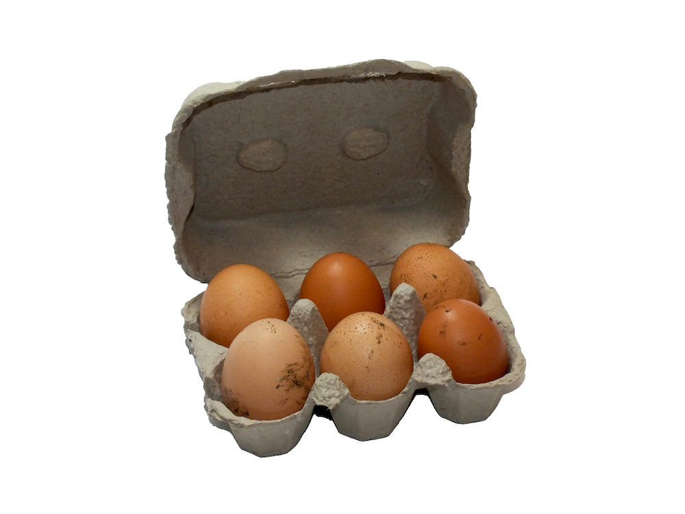 Eierkarton für 6 Hühner-Eier
