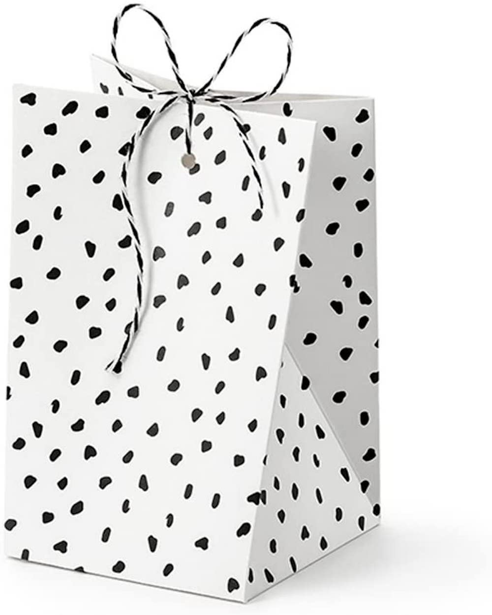 6 Geschenkboxen DINOSAUR mit Band, weiß & schwarz