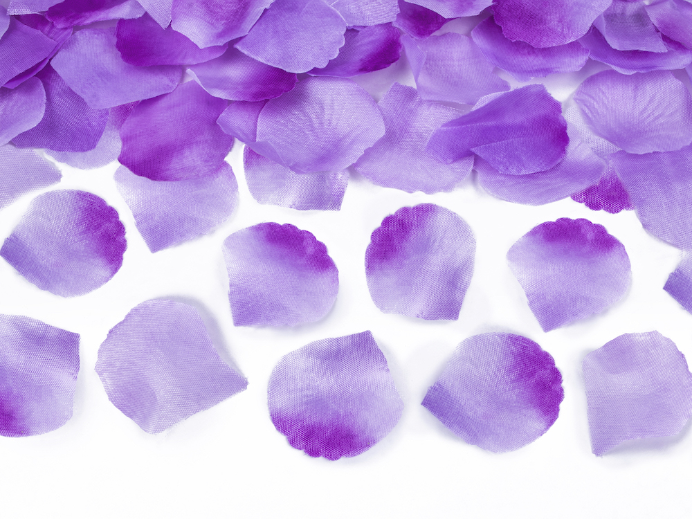 Konfettikanone - Rosenblätter - Lavendel