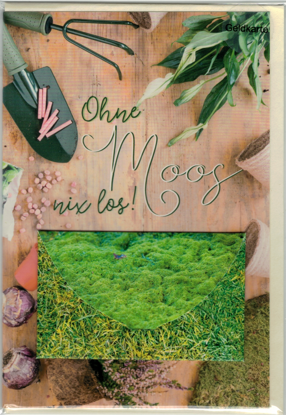 Geld-Karte mit Umschlag  "Ohne Moos nix los"