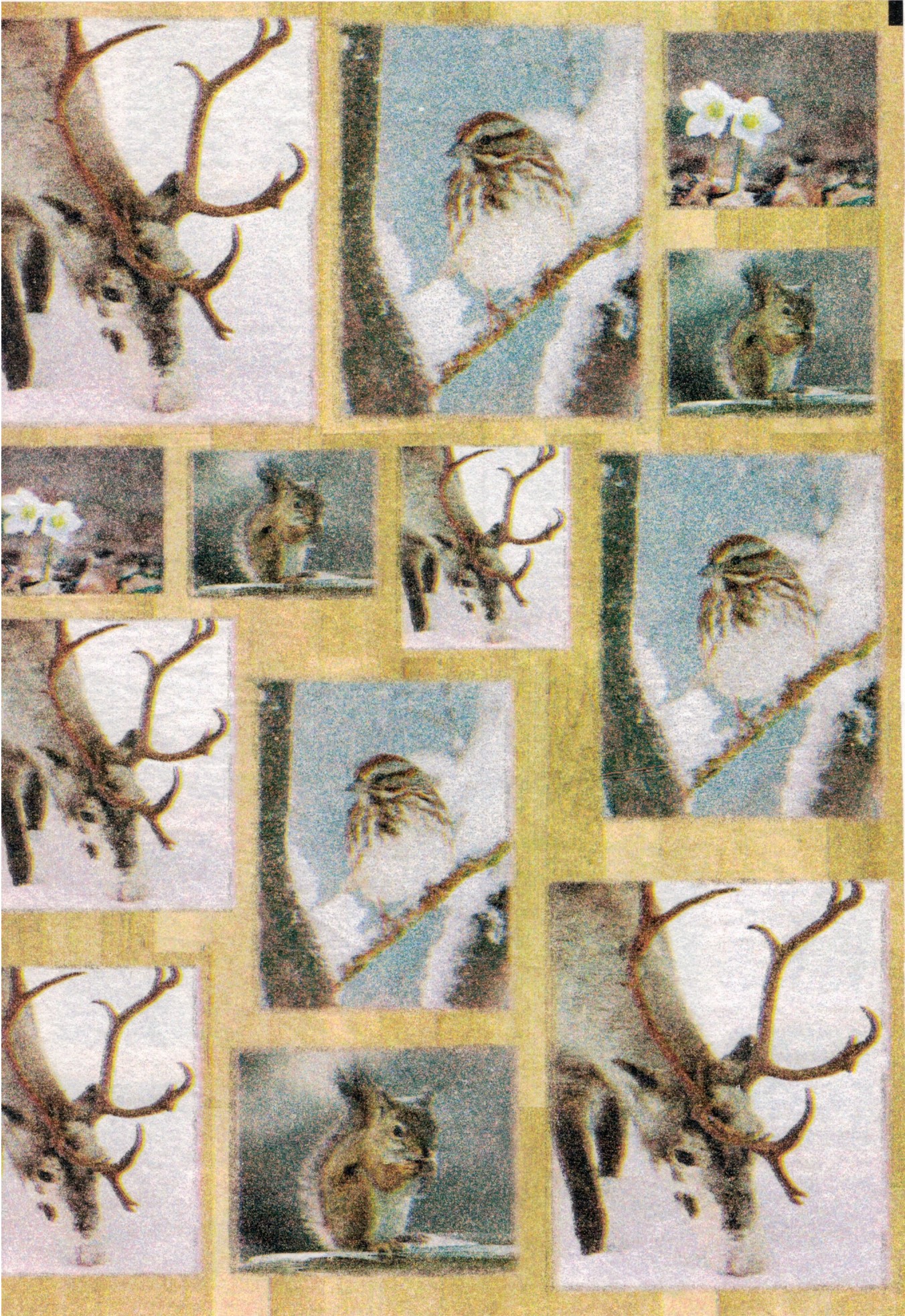 Découpage-Papier, 25x35 cm, 17 g, Tiermotive Winter, 1 Blatt