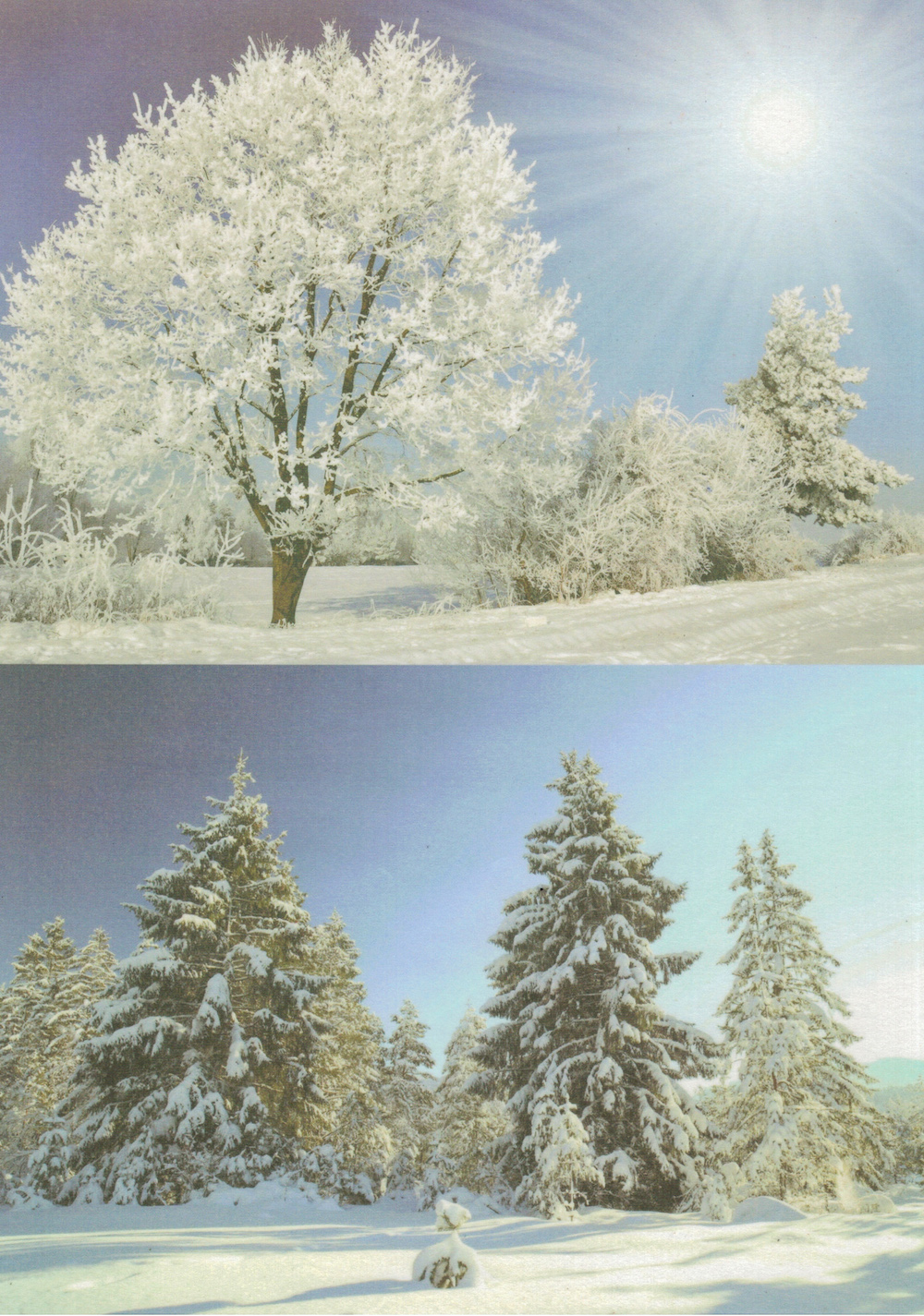 Transparentpapier, Winter 2-teilig, A4, 1 Blatt