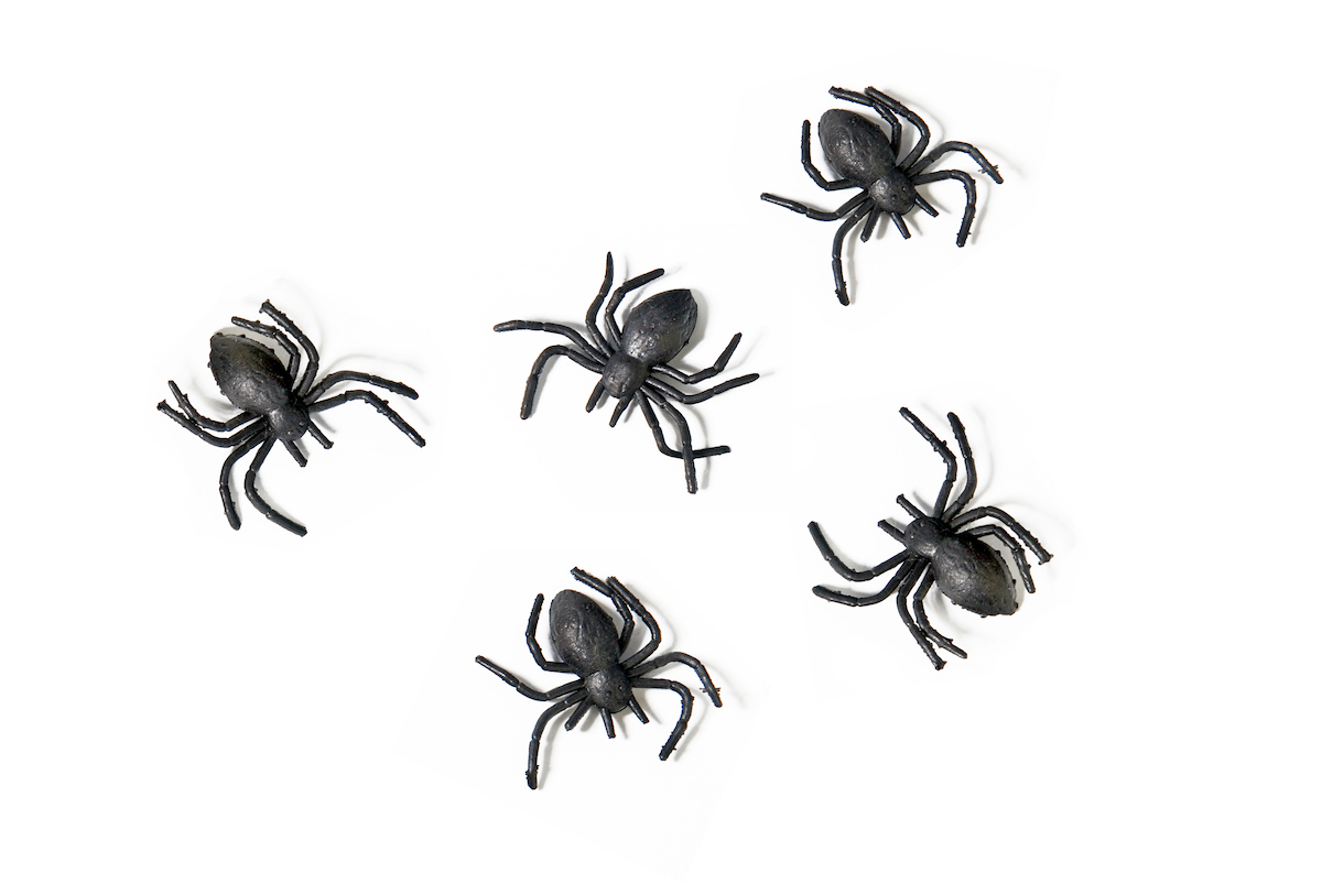 Plastikspinnen schwarz 3cm 10 Stück