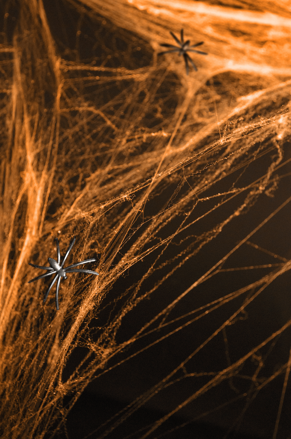 Halloween Spinnennetz mit 2 Spinnen, 60g